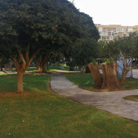 Gamonal N.4 *